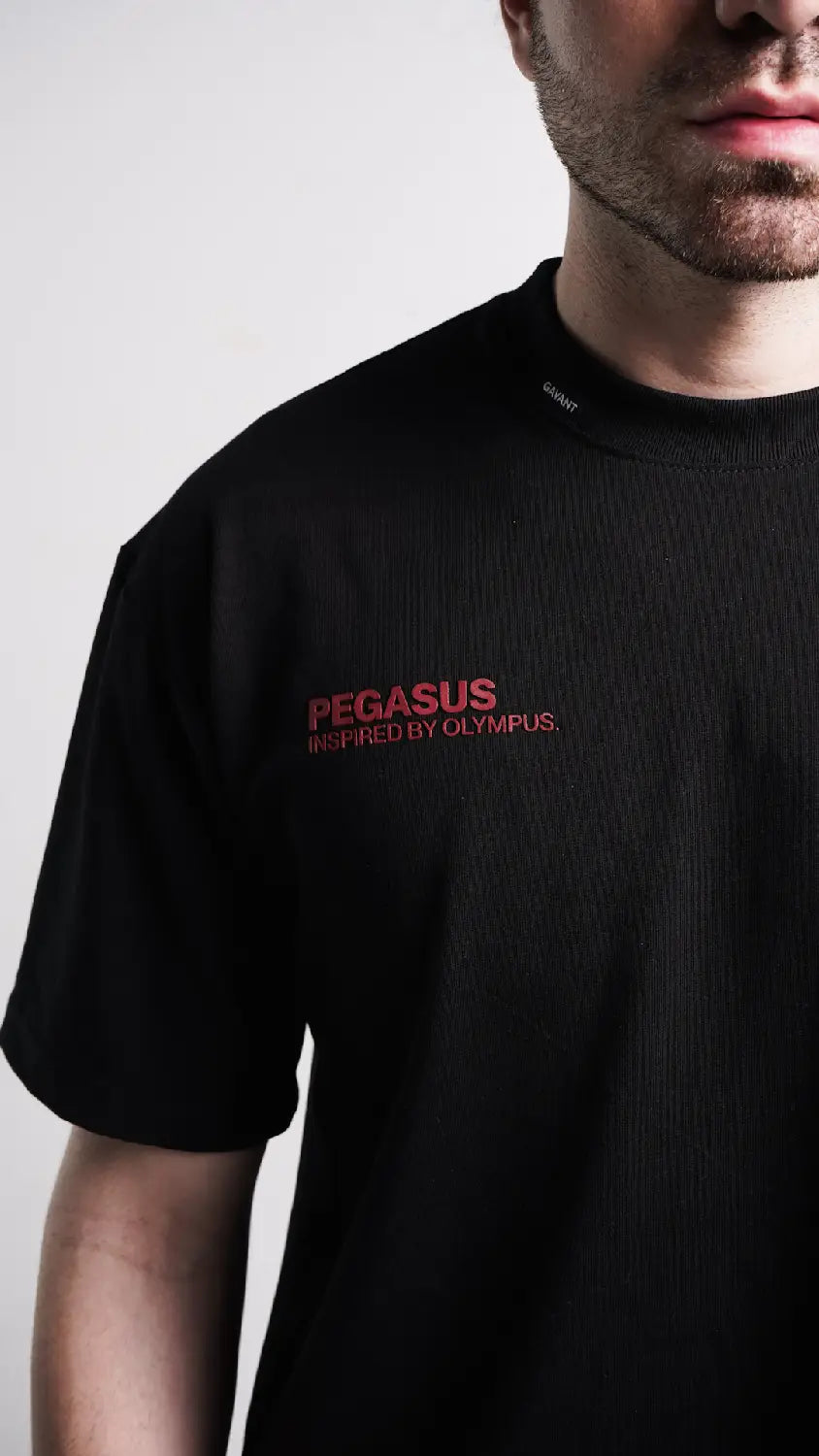 Pegasus Tshirt Negra