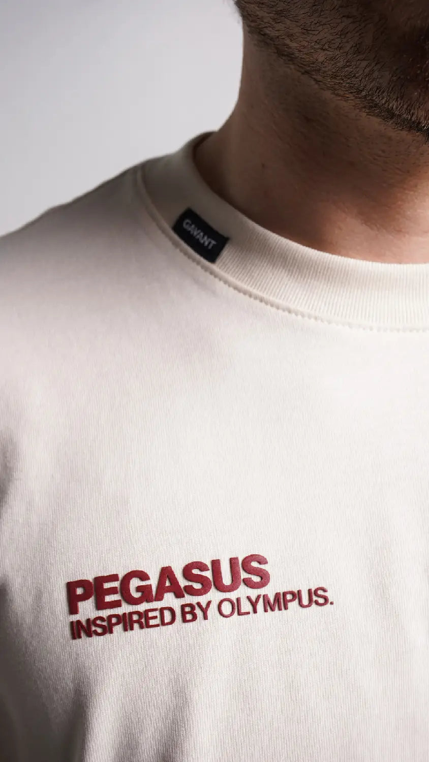Pegasus Tshirt Arena