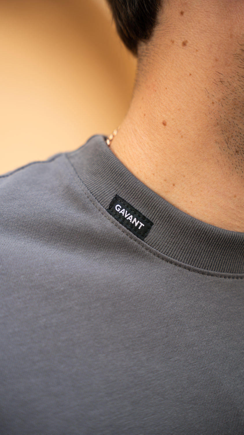 Camiseta oversize RENACER gris