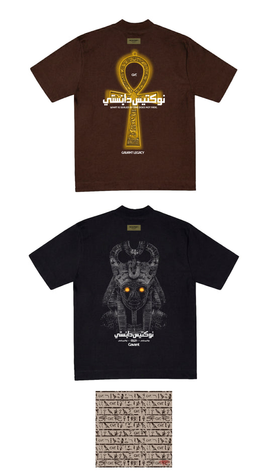 PROMO PACK X2 CAMISETAS + PAÑOLETA (envio gratis)