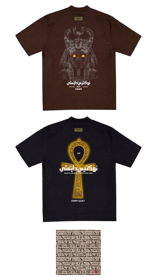 PROMO PACK X2 CAMISETAS + PAÑOLETA (envio gratis)